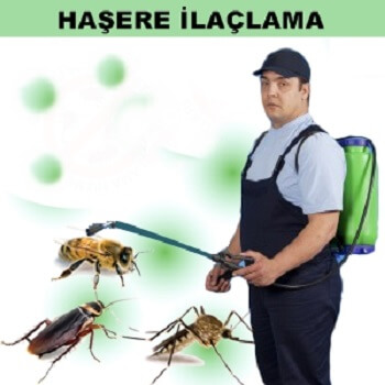 Orta Böcek İlaçlama